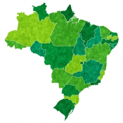  Magnetická mapa Brazílie, ilustrovaná, zeleno-žltá