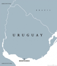  Magnetická mapa Uruguaj, ilustrovaná, šedá