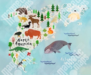  Magnetická mapa Severnej Ameriky, kreslená, farebná